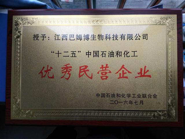 优秀民营企业